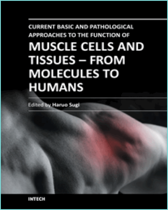 Current Basic and Pathological Approaches to the Function of Muscle Cells and Tissues - From Molecules to Humans